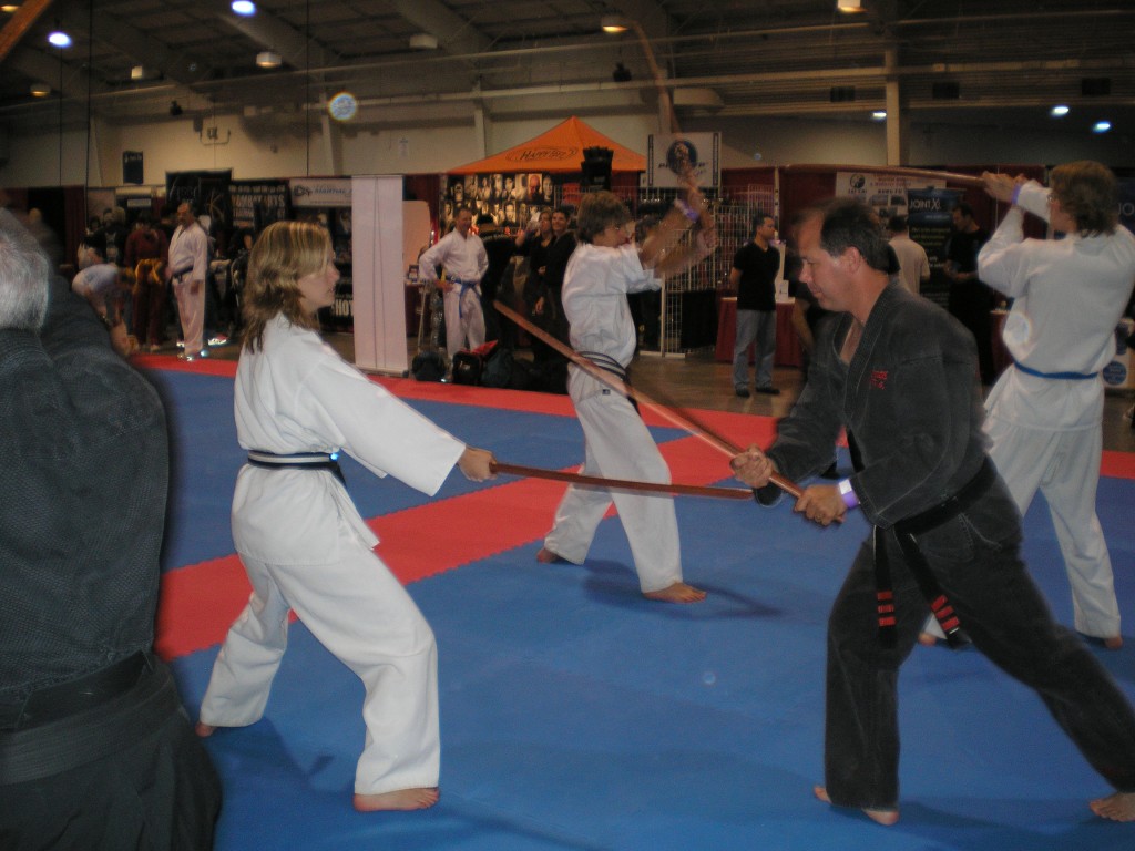 MMA Expo 2008 Kenjutsu Workshop